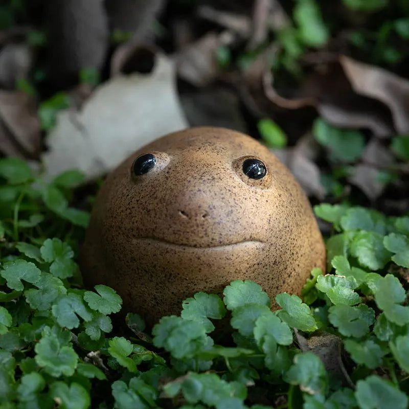 Coarse Pottery Big Eyes Lucky Frog Tea Pet