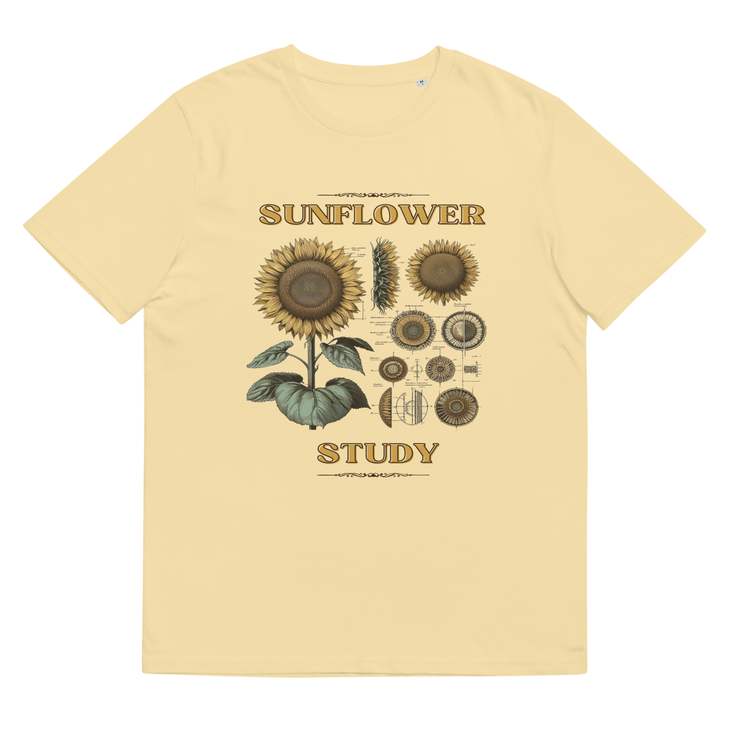 Lay-flat image of the 'Sunflower Study' Tee Shirt in butter, highlighting the artistic and scientific depiction of a sunflower, making a statement in sustainable fashion.