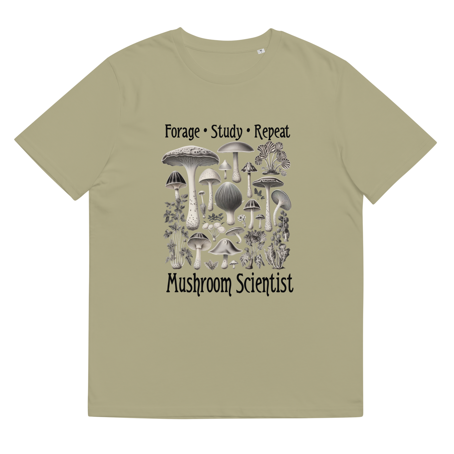 ay-flat image of 'Forage, Study, Repeat' Tee Shirt in sage, highlighting the antique mushroom collection style with monochromatic landscapes, a statement piece for those who value nature's quiet beauty and sustainable style.