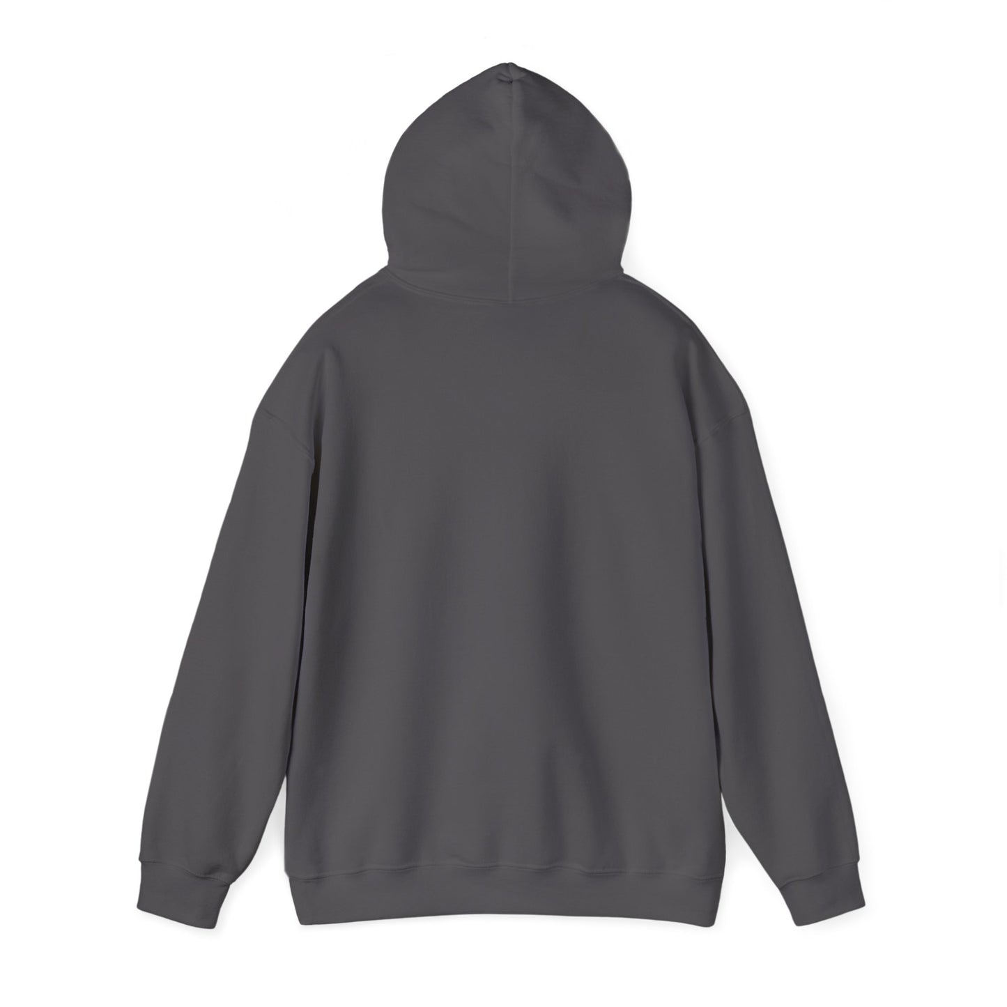 NDT Logo Hooded Sweatshirt