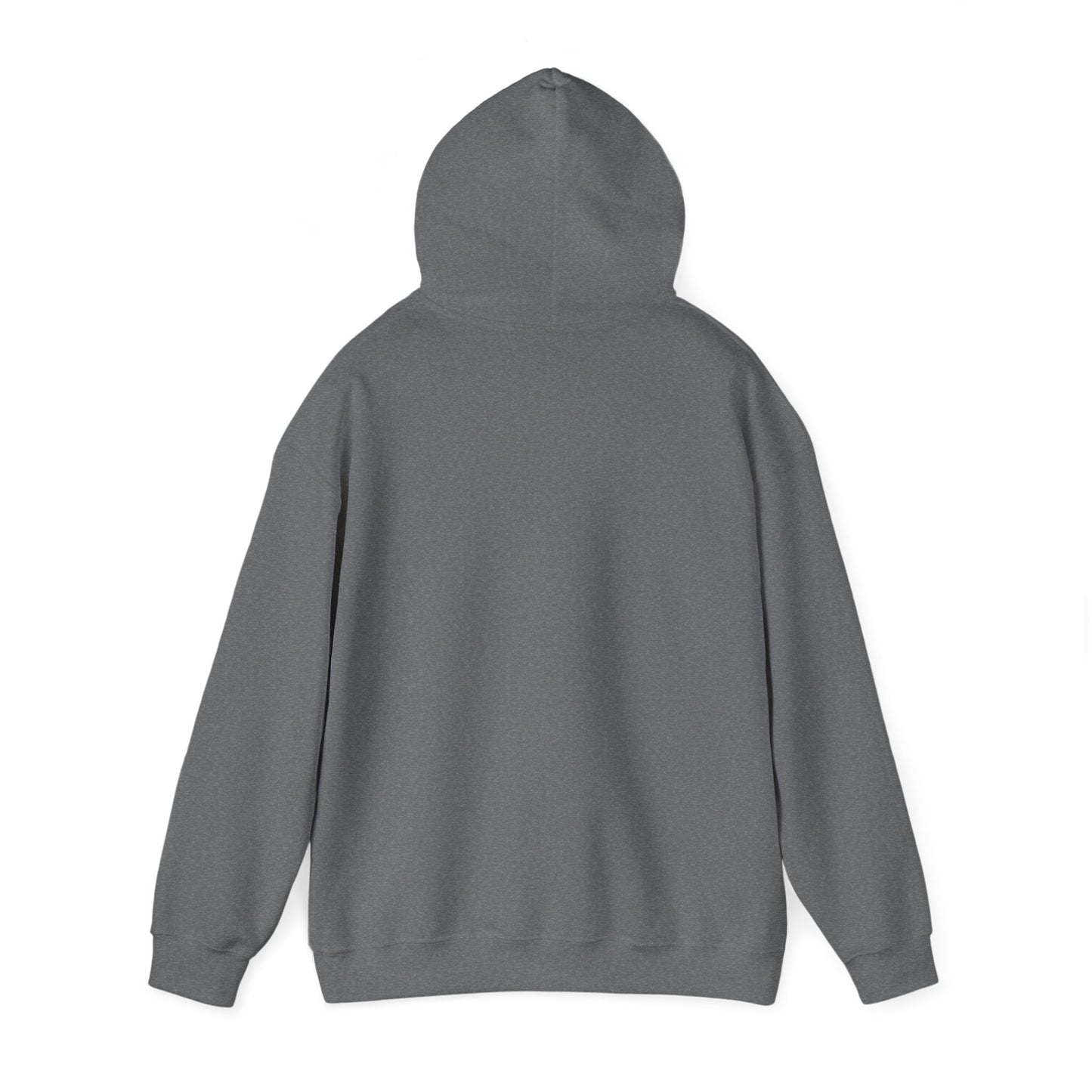 NDT Studio 1 Hooded Sweatshirt