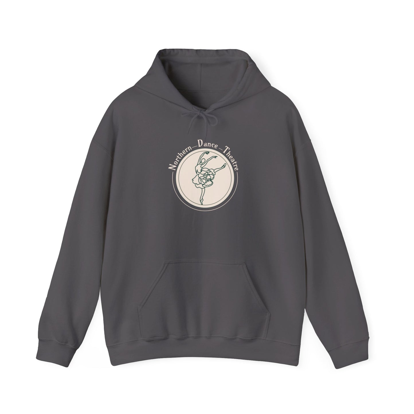 NDT Logo Hooded Sweatshirt